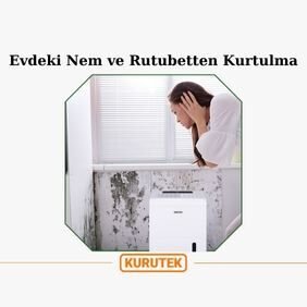 Evdeki Rutubet ve Nemden Kurtulma